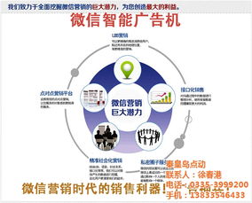 蒲公英科技 秦皇岛网络推广与技术服务供应，在线咨询赋能企业数字转型