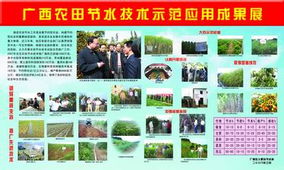 广西农田节水技术试验示范推广成果与经验总结