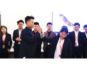 山东鼎基信息技术 深耕临沂网站建设与网络推广，助力企业实现数字化腾飞